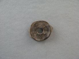 Shotgun Shell Fragment