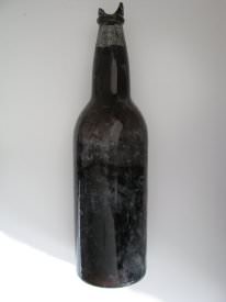 Beer Bottle