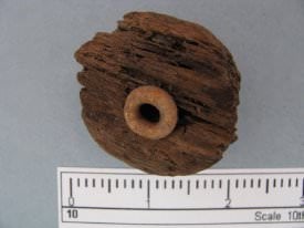 Cork/Rubber Fragment