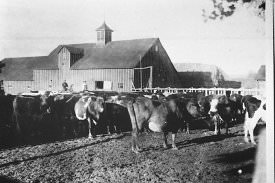 Big Dry Creek Cheese Ranch Barn