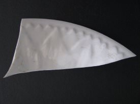 Ceramic Shard, Historic