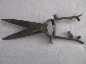 Shears, Horse