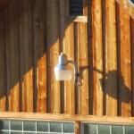 Picture3-540x450