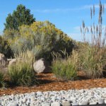 xeric landscape drought tolerant plants, mulch and rocks