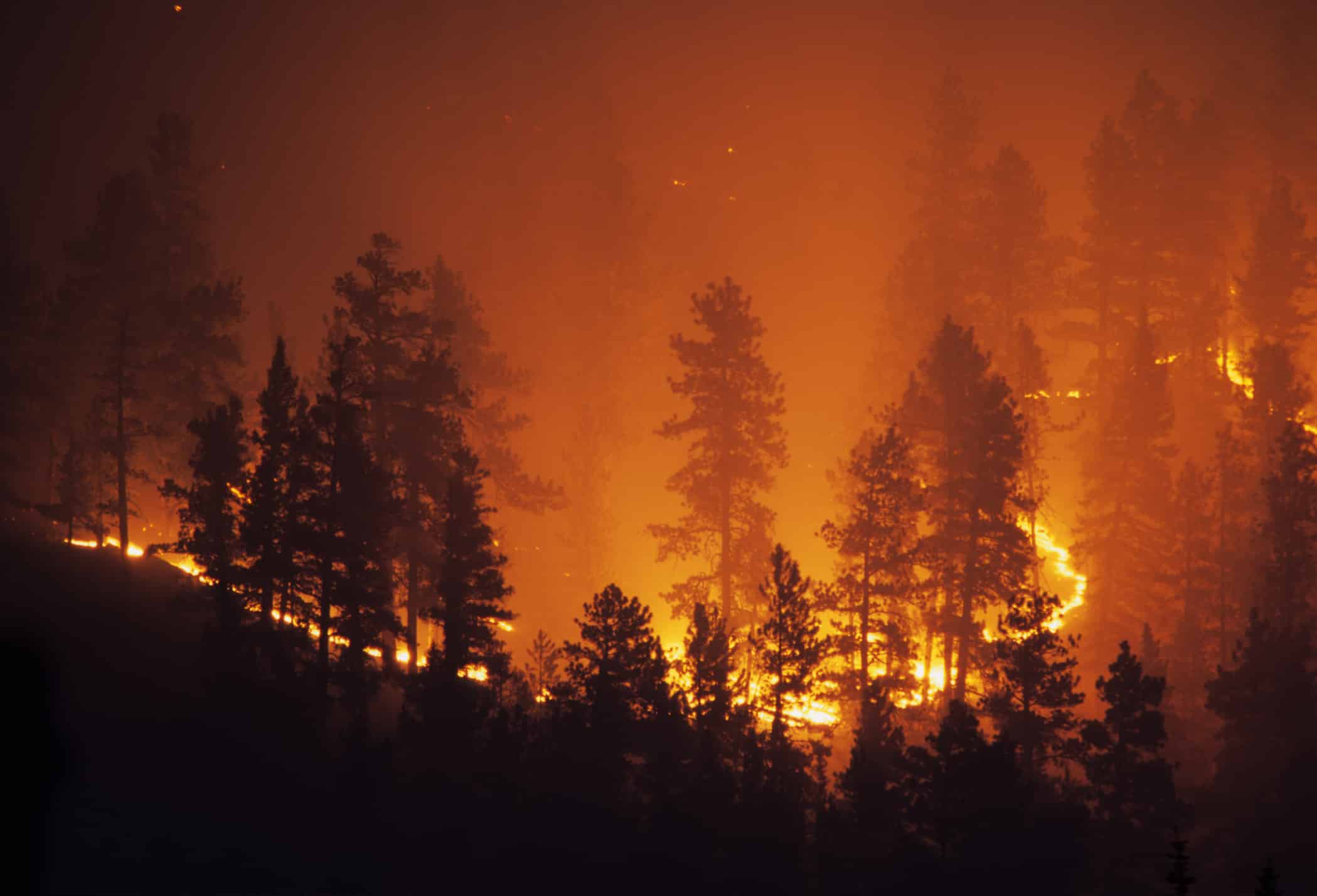 Stage 1 Fire Restrictions now in place in Douglas County Douglas County