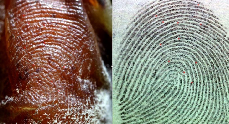 Coroner's Office Douglas County