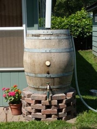 rain barrel elevated on bricks