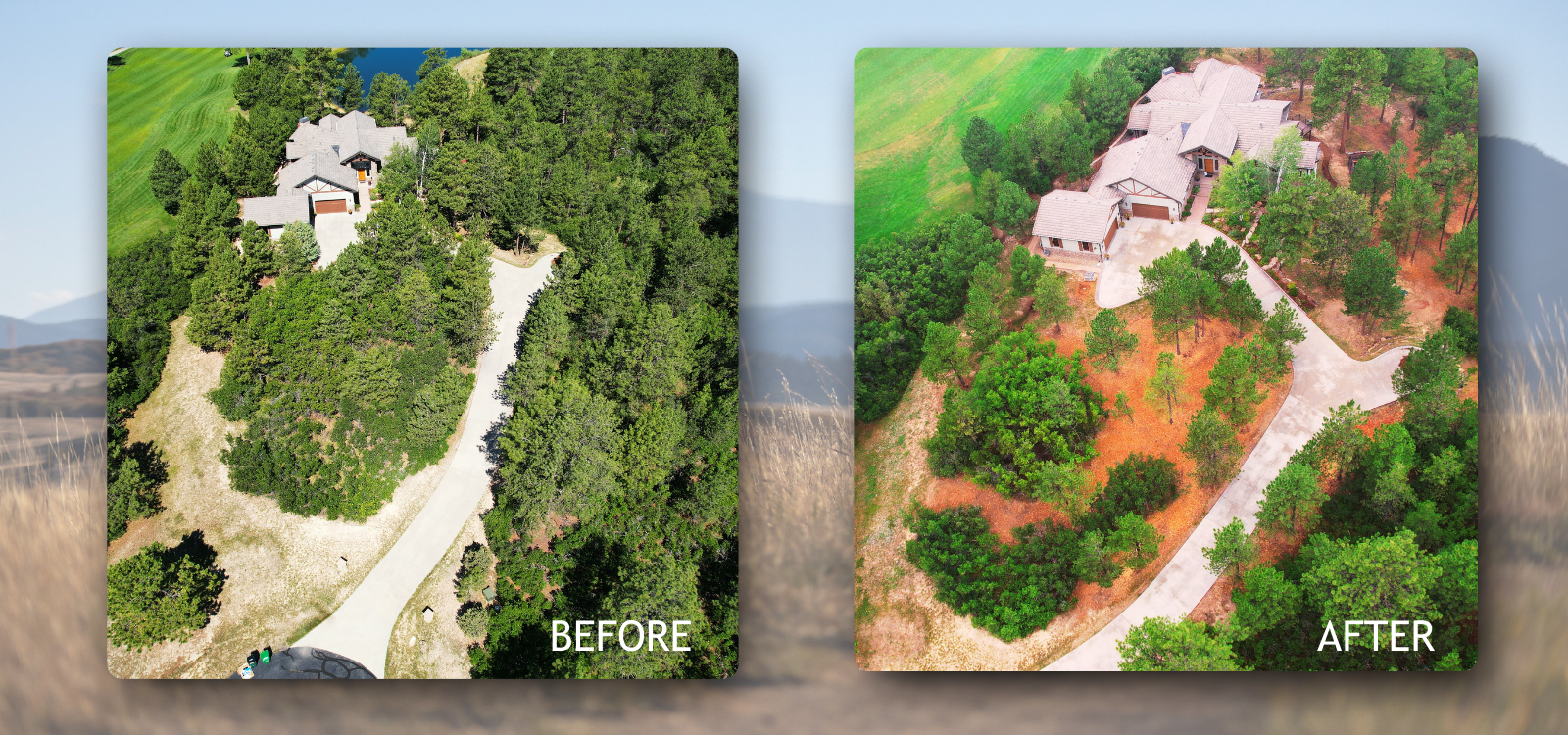 before and after photos of a home that used cost sharing program to remove fire fuel like shrubs from their property 