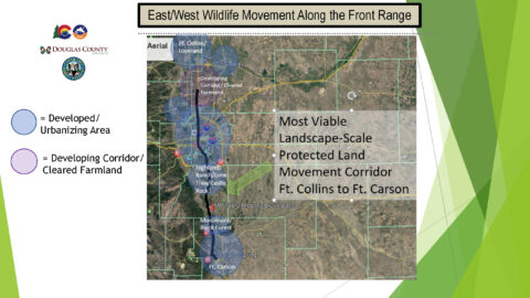 Map of the east/west wildlife movement along the front range