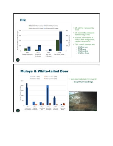 Page 2 of the I-25 wildlife mitigation data document featuring stats on elk, mule deer and white-tailed deer usage of the underpasses